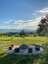 Camping Iglena