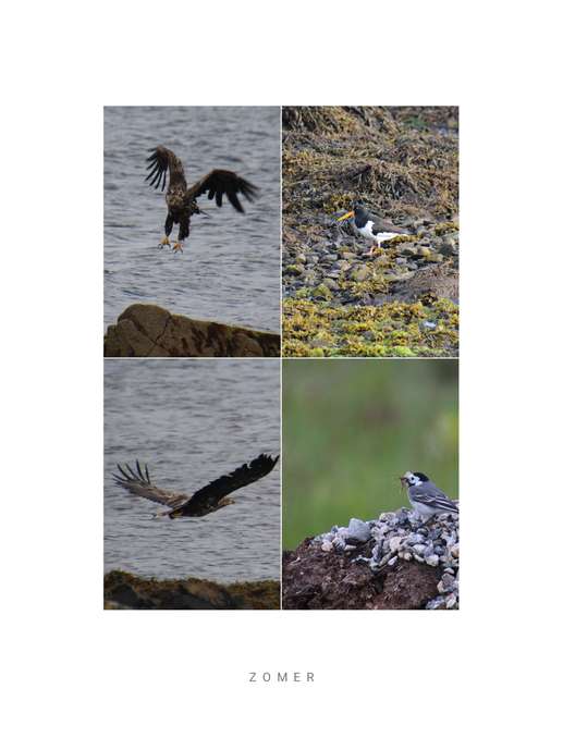 Een foto toegevoegd aan een locatie