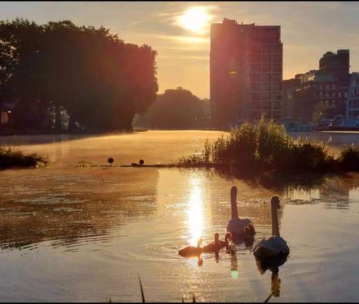 Een foto toegevoegd aan een locatie