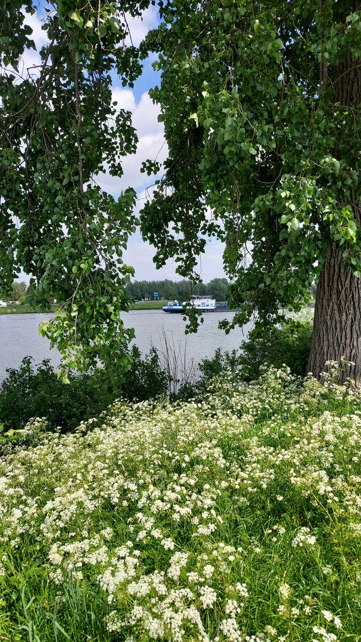 Tuincamping Megen