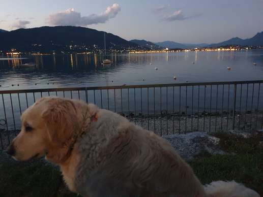 Einem Ort wurde ein Foto hinzugefügt