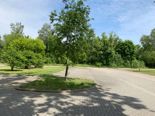 Added a photo to a location