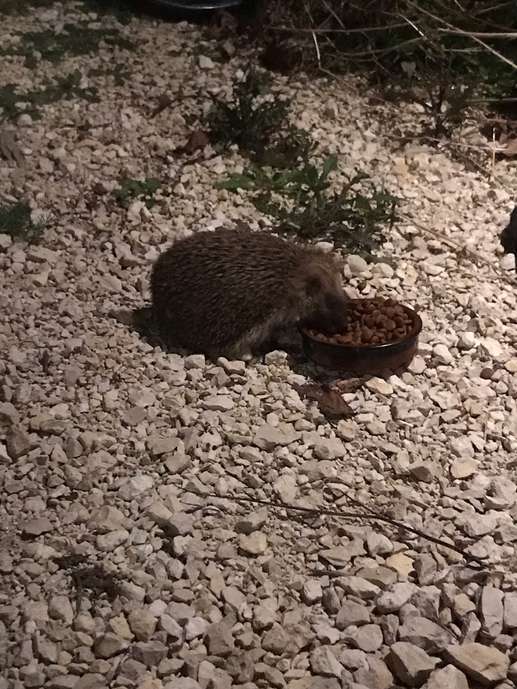 Aggiunta una foto a una posizione