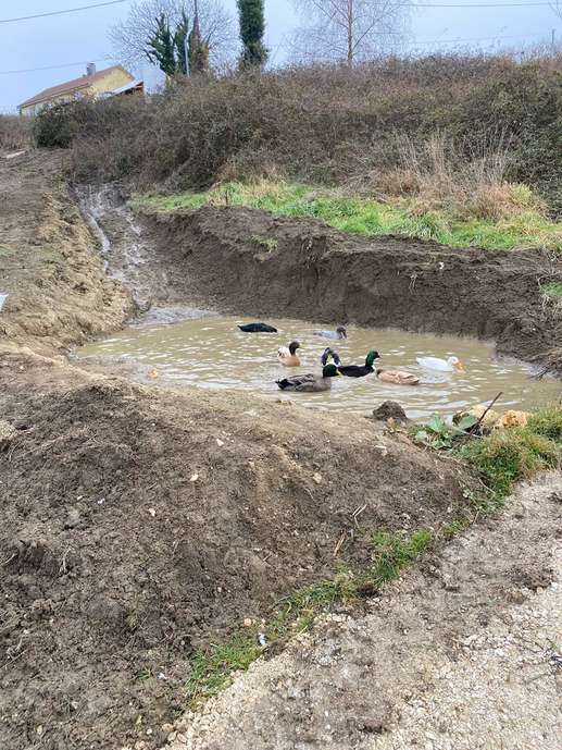 Aggiunta una foto a una posizione