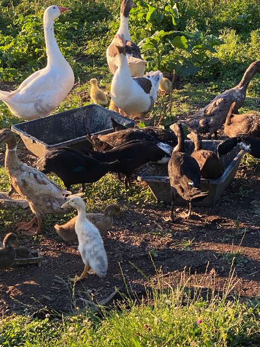 Aggiunta una foto a una posizione