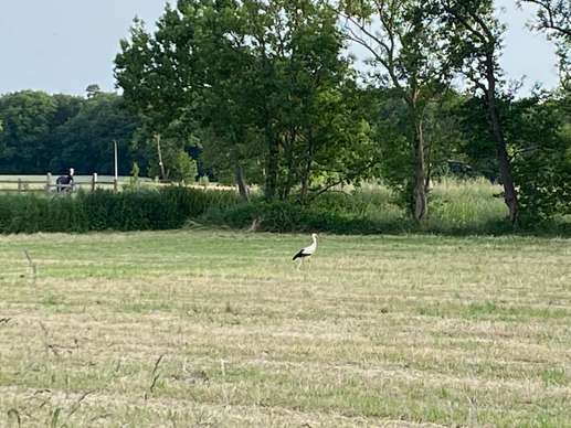 Added a photo to a location