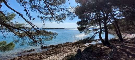Een foto toegevoegd aan een locatie