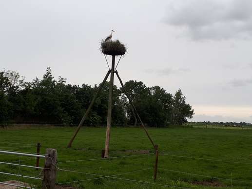 Een foto toegevoegd aan een locatie