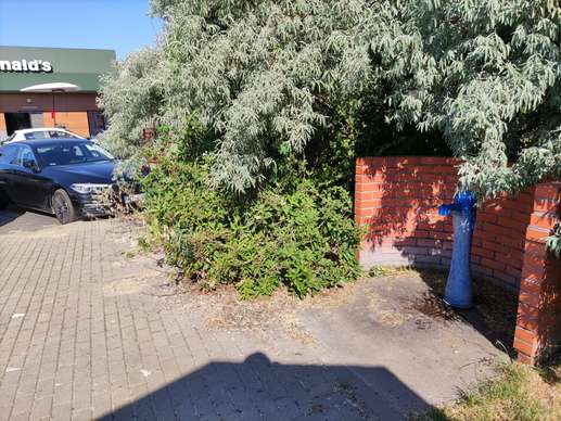 Added a photo to a location