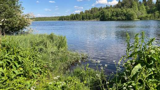 Een foto toegevoegd aan een locatie