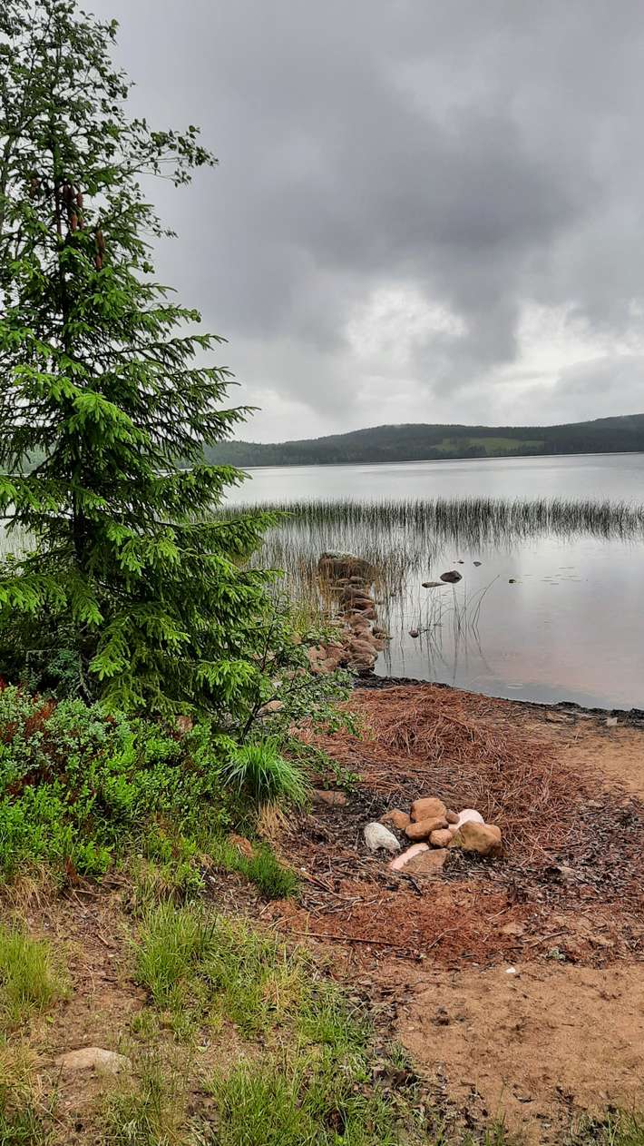 Tyngsjö Vildmark