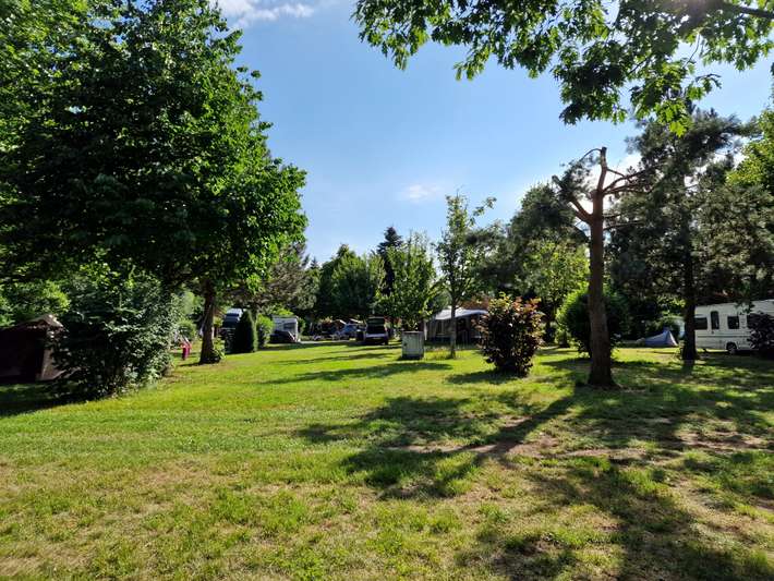 Les amis de la Nature