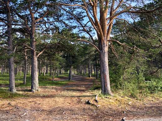 Een foto toegevoegd aan een locatie