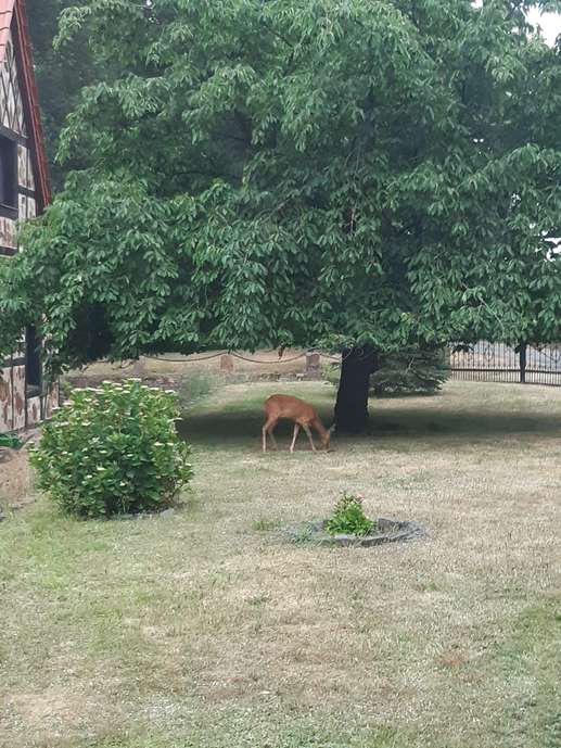 Aggiunta una foto a una posizione