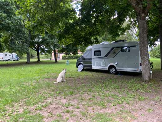 Een foto toegevoegd aan een locatie