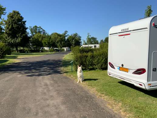 Een foto toegevoegd aan een locatie