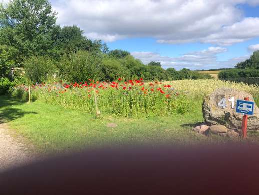 Added a photo to a location