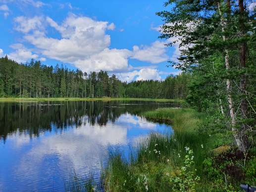 Added a photo to a location
