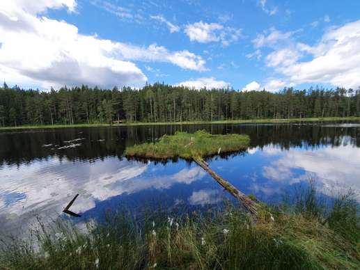 Added a photo to a location