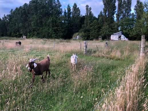 Een foto toegevoegd aan een locatie