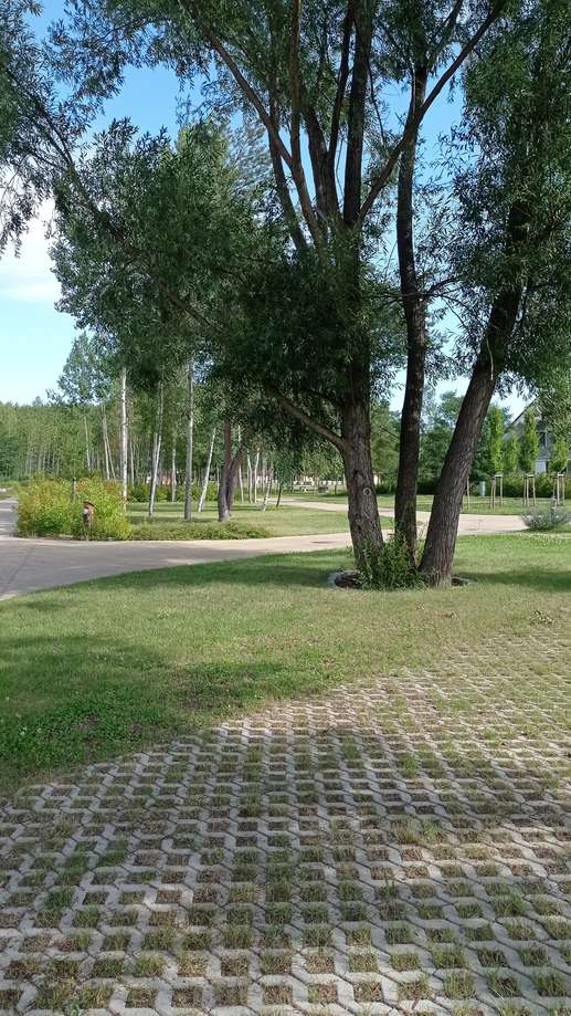 Added a photo to a location