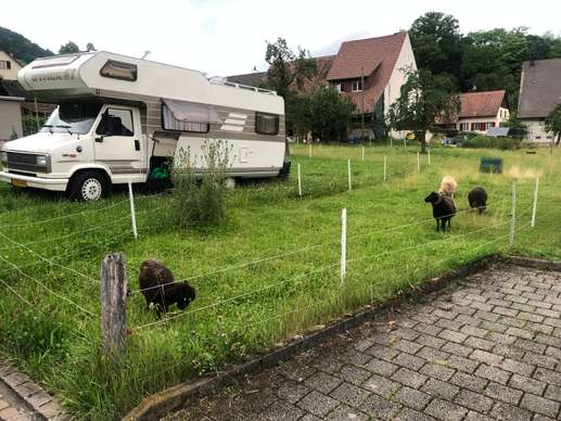 Een foto toegevoegd aan een locatie