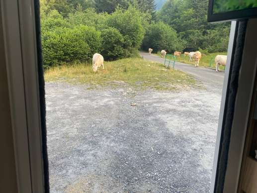 Einem Ort wurde ein Foto hinzugefügt