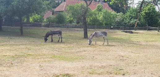 Een foto toegevoegd aan een locatie