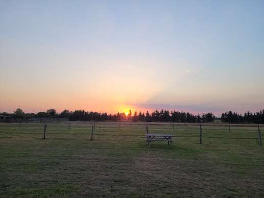 Added a photo to a location
