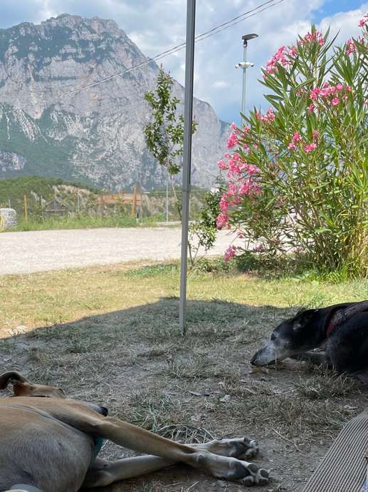 Aggiunta una foto a una posizione