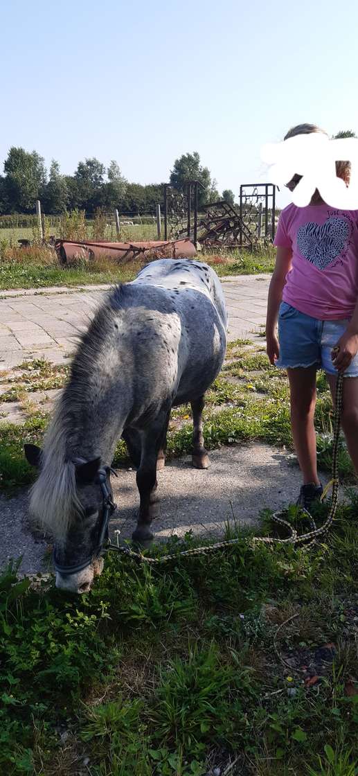 Een foto toegevoegd aan een locatie