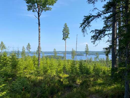 Added a photo to a location