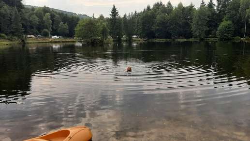 Een foto toegevoegd aan een locatie