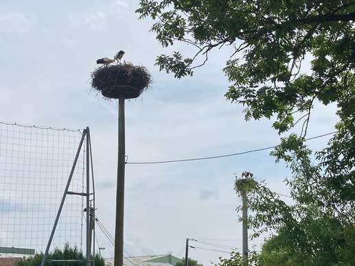 Einem Ort wurde ein Foto hinzugefügt