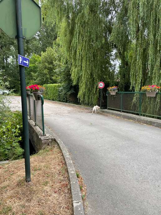Einem Ort wurde ein Foto hinzugefügt