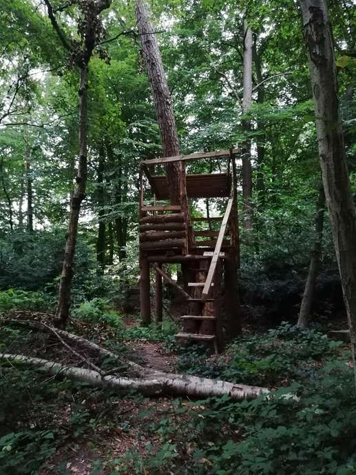 Aggiunta una foto a una posizione