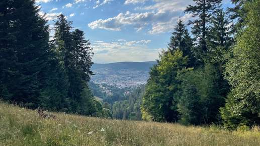 Einem Ort wurde ein Foto hinzugefügt