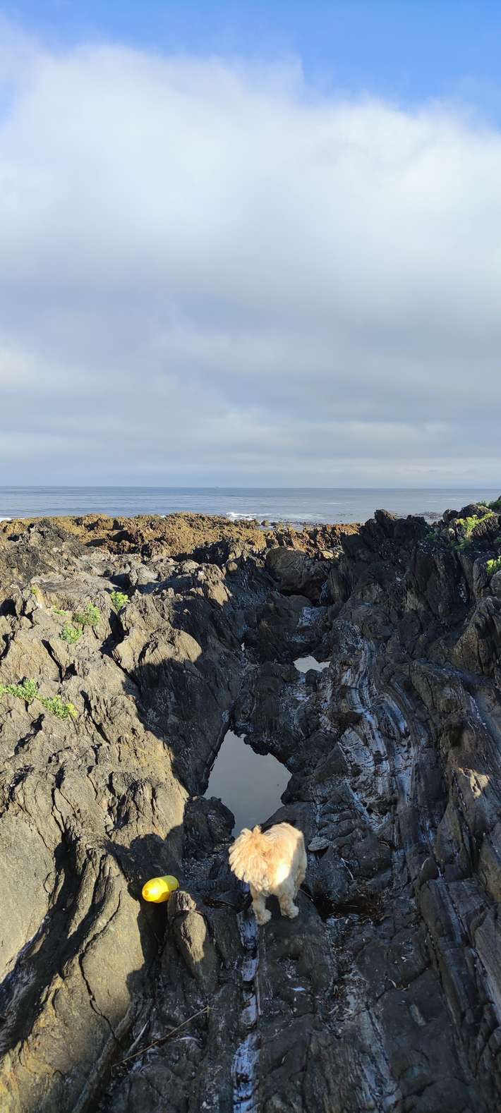 Playa Río Sieia