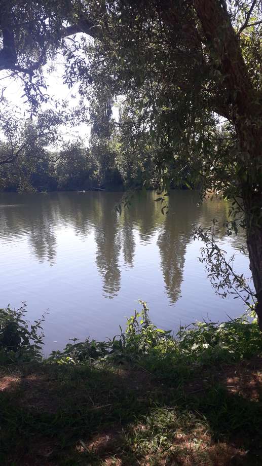 Ajout d'une photo à un emplacement