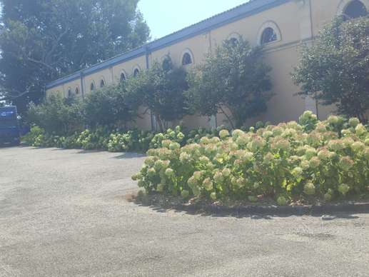 Added a photo to a location