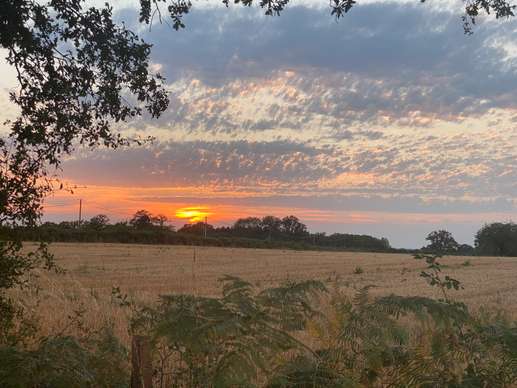 Added a photo to a location