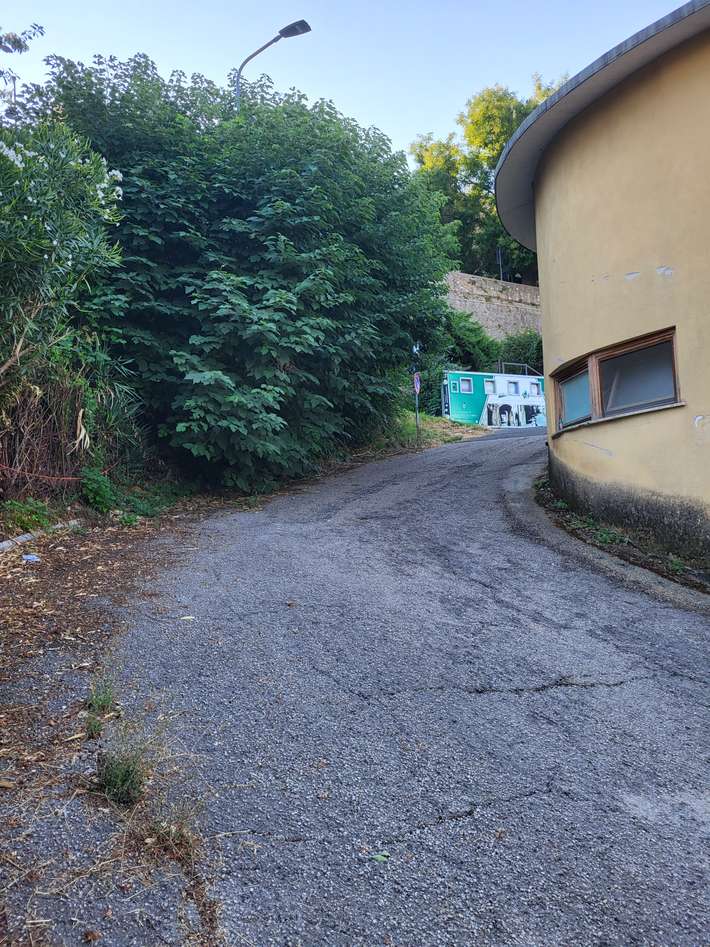 Area Comunale