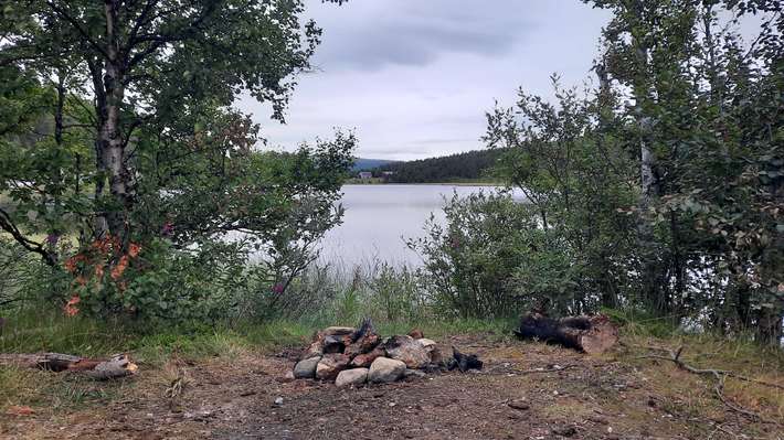 Hamntjørna