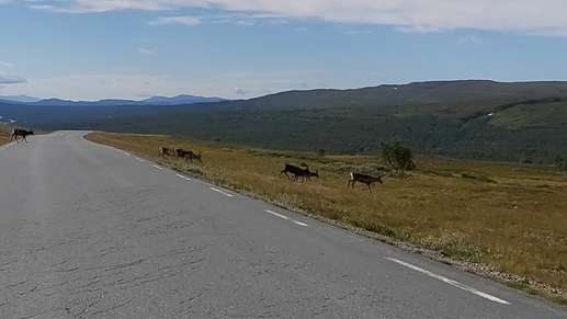 Added a photo to a location