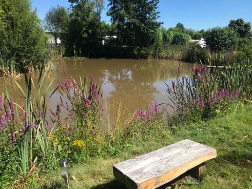 Een foto toegevoegd aan een locatie