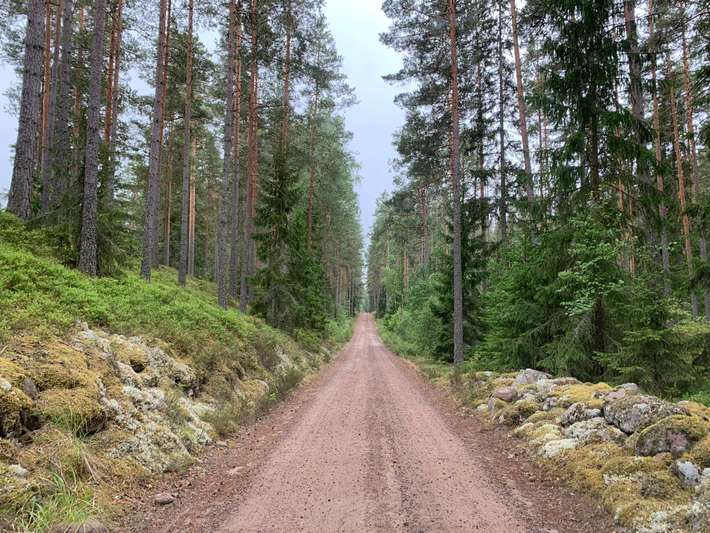 Nationaal park Norra Kvill