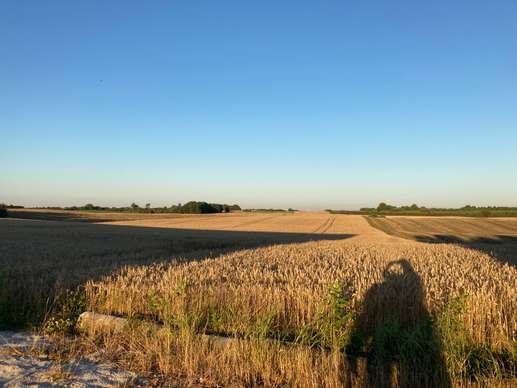 Added a photo to a location