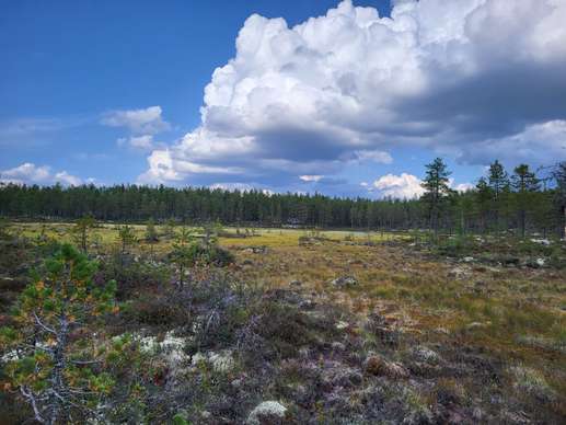Added a photo to a location