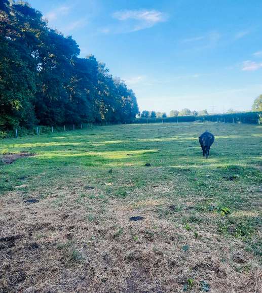 Een foto toegevoegd aan een locatie