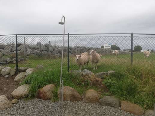 Added a photo to a location